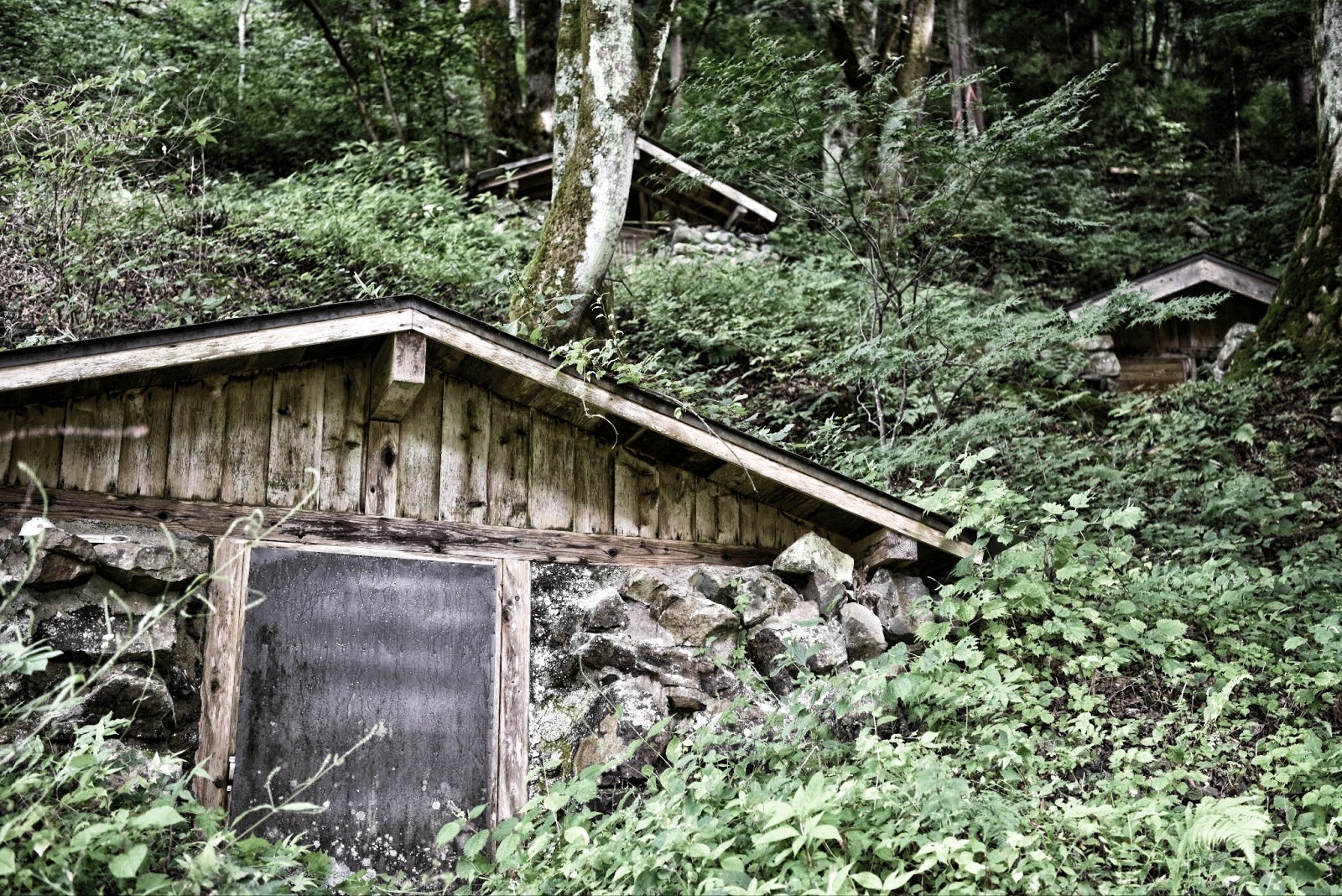 プレミアムな熟成をもたらす 天然の冷蔵庫「風穴」とは？